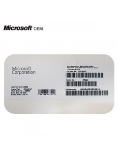 WINDOWS SVR STD 2025 64BIT 1PK