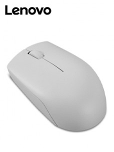 MOUSE INALAMBRICO COMPACTO LENOVO 300, COLOR GRISARTICO.CONECTIVIDAD: RECEPTOR I
