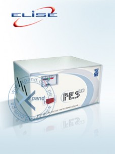 ESTABILIZADOR ELISE - FASE FES-10, SÃ³LIDO, 1.0KVA, 220V, 4 TOMAS A 220V, 1 TOMA A 110
